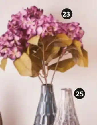 XXXLutz Vase Angebot