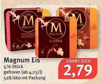 Feneberg Magnum Eis 528/660ml Angebot