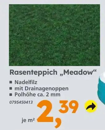 Globus Baumarkt Rasenteppich „Meadow" Angebot