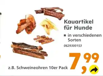 Globus Baumarkt Kauartikel für Hunde Angebot