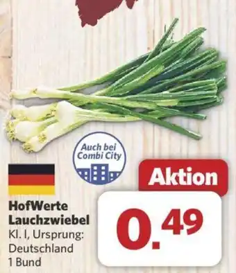 Combi HofWerte Lauchzwiebel Angebot