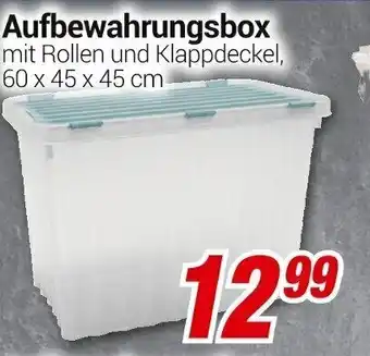 CENTERSHOP Aufbewahrungsbox 60 x 45 x  45 cm Angebot