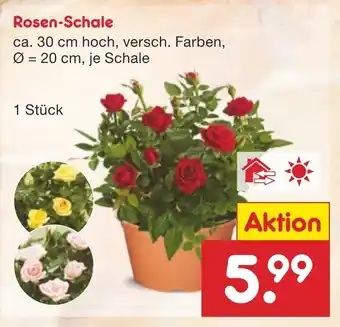 Netto Marken-Discount Rosen-Schale Angebot