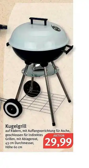 Feneberg Kugelgrill Angebot