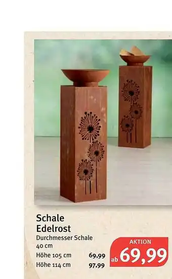 Feneberg Schale Edelrost Angebot