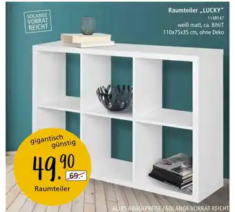 Zurbrüggen Raumteiler „lucky“ Angebot