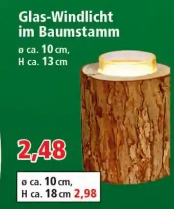 Thomas Philipps Glas Windlicht im Baumstamm Angebot