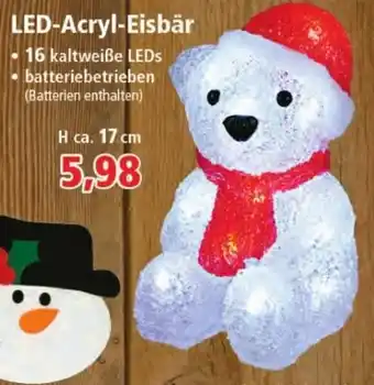 Thomas Philipps LED Acryl Eisbär Angebot