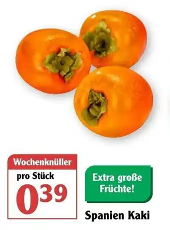 Globus Spanien Kaki Angebot