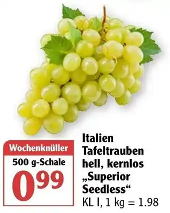 Globus Italien Tafeltrauben hell, kernlos Superior Seedless 500g Angebot