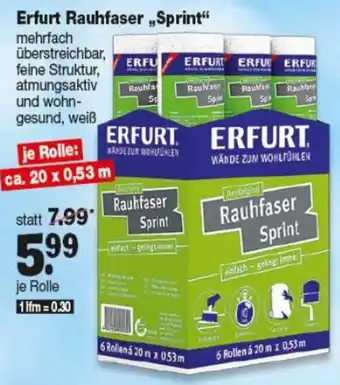 Repo Markt Erfurt Rauhfaser „Sprint" Angebot