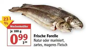 Globus Frische Forelle 100g Angebot