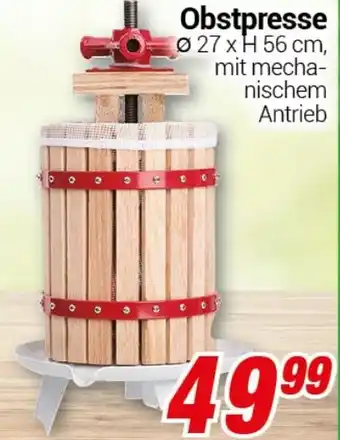 CENTERSHOP Obstpresse Angebot