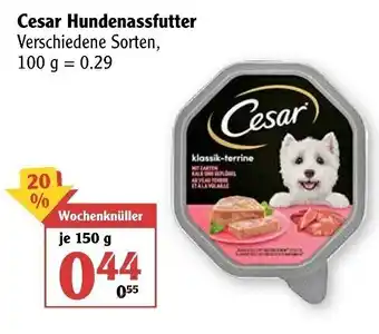 Globus Cesar Hundenassfutter 150g Angebot