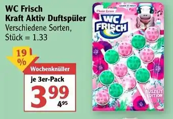 Globus WC Frisch Kraft Aktiv Duftspüler Angebot