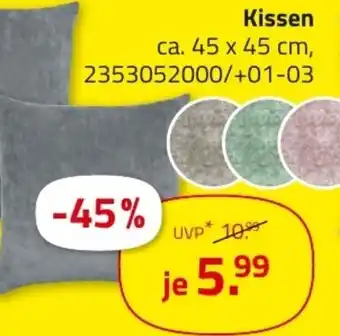ROLLER Kissen Angebot