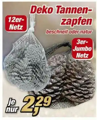 Posten Börse Deko Tannnenzapfen Angebot