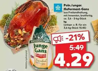 Kaufland Poln. Ungar Hafermast-gans Angebot