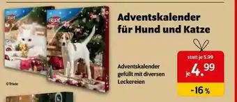 Das Futterhaus Adventskalender Für Hund Und Katze Angebot