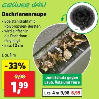 Thomas Philipps GRÜNER JAN Dachrinnenraupe Angebot