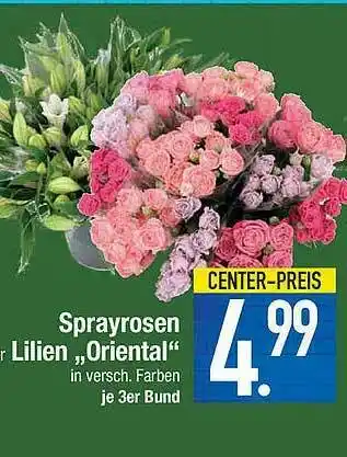 E-Center Sprayrosen Oder Lilien „oriental” Angebot