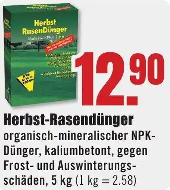 B1 Discount Baumarkt Herbst-Rasendünger 5 kg Angebot
