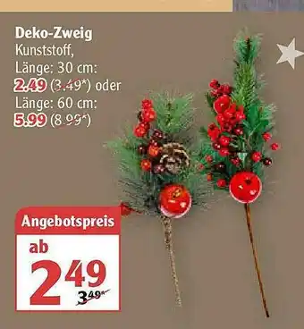 Globus Deko-zweig Angebot