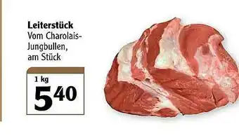 Globus Leiterstück Angebot