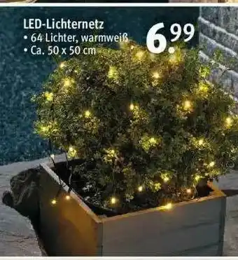 Rossmann Led-lichternetz Angebot