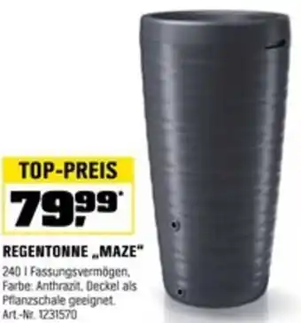 OBI REGENTONNE „MAZE“ Angebot