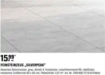 OBI FEINSTEINZEUG „SILVERPEAK“ Angebot