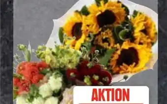 Edeka Frischemarkt Sonnenblumen Angebot