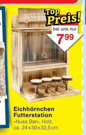 Wiglo Wunderland Eichhörnchen Futterstation Angebot