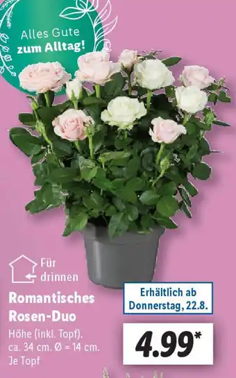Lidl Romantisches Rosen-Duo Angebot