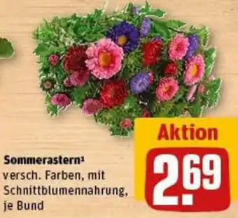 REWE Sommerastern Angebot