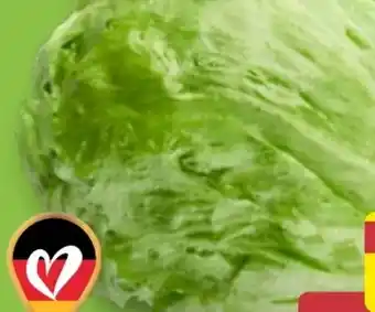 Aldi Nord Eisbergsalat Angebot