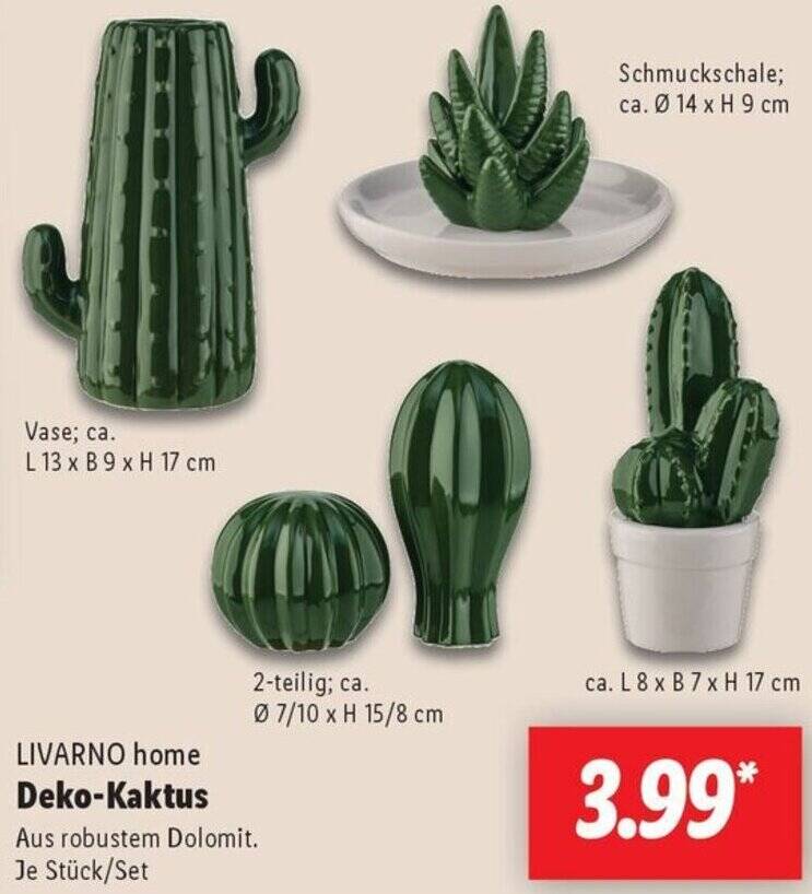 LIVARNO home Deko-Kaktus Angebot bei Lidl