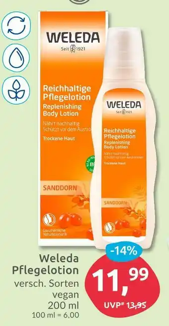 Budni Weleda pflegelotion Angebot