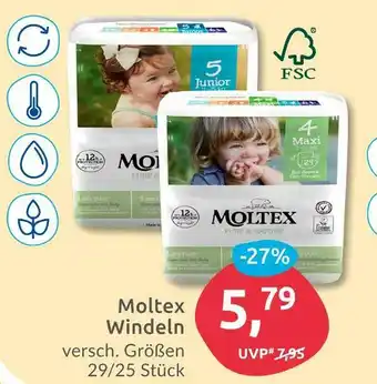 Budni Moltex windeln Angebot