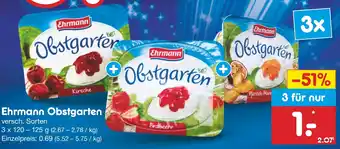 Netto Marken-Discount Ehrmann Obstgarten Angebot