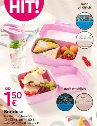 PEPCO Brotdose Angebot