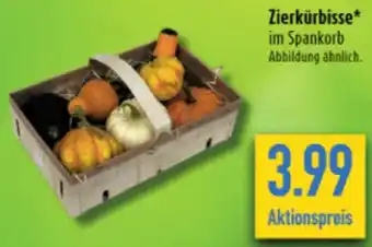 diska Zierkürbisse Angebot