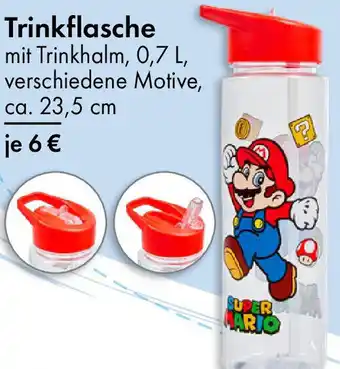 TEDi Trinkflasche Angebot
