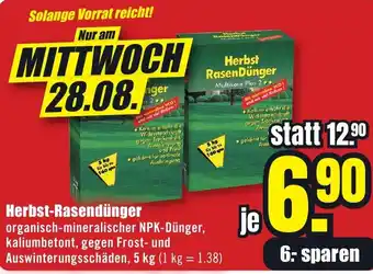 B1 Discount Baumarkt Herbst-Rasendünger Angebot