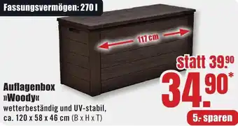 B1 Discount Baumarkt Auflagenbox Woody Angebot