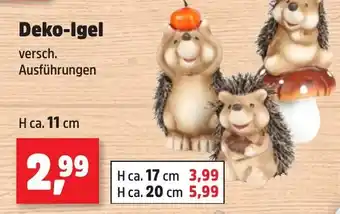 Thomas Philipps Deko-Igel Angebot