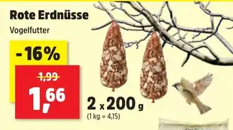 Thomas Philipps Rote Erdnüsse 2 x 20 g Angebot