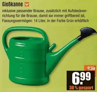 V Baumarkt Gießkanne Angebot