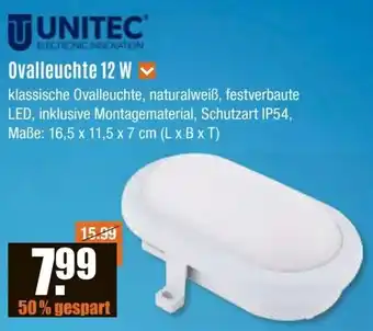 V Baumarkt UNITEC Ovalleuchte 12 W Angebot