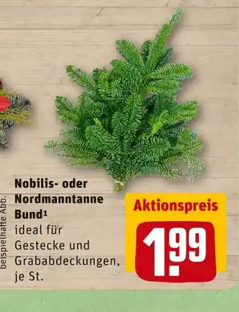 REWE Nobilis- oder nordmanntanne bund Angebot